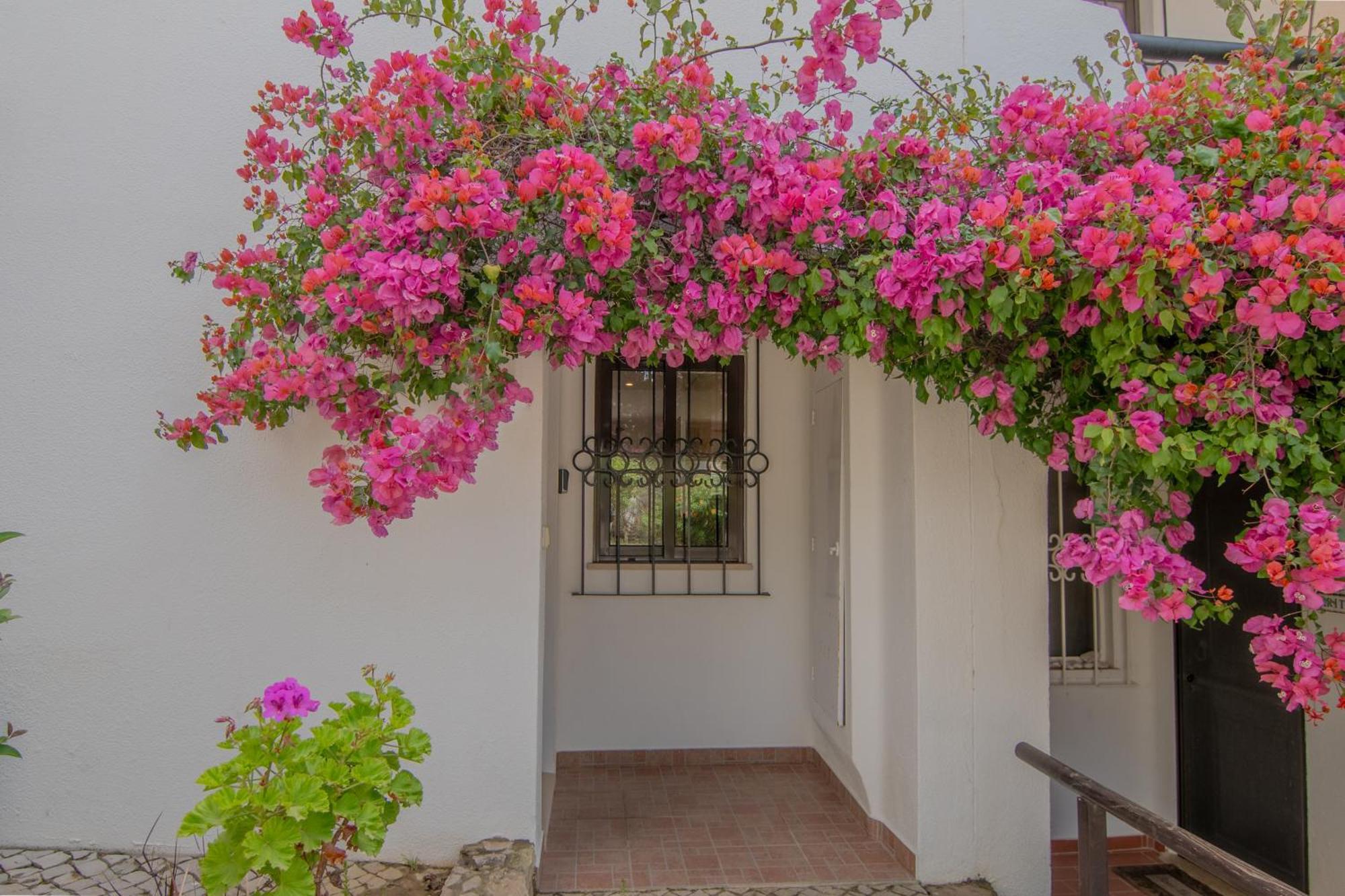 Coastal Retreat With Pool And Beach Access By Drago Rentals Albufeira Exterior foto